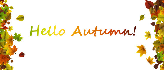 Hello autumn banner with colorful leaves.