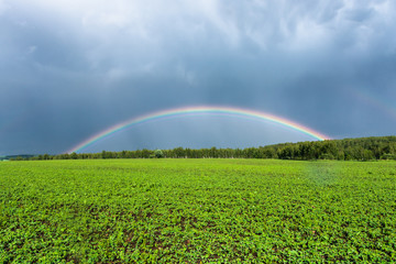 double rainbow in the blue cloudy dramatic sky over green field and a forest illuminated by the sun in the country side