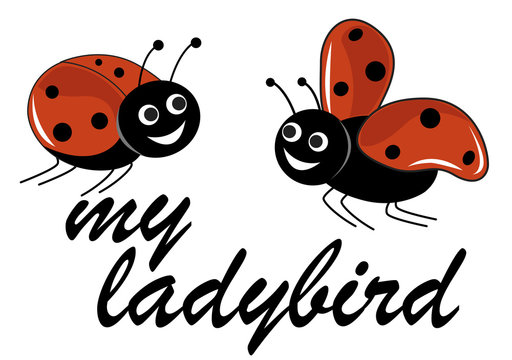 my ladybird