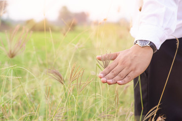 Concept of freedom with hand of businessman and meadow.