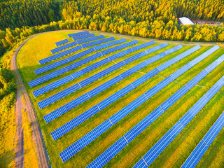 Aerial view to solar power plant in pine forest. Industrial background on renewable resources theme. 