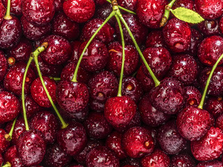 Freshly red cherry berries with water droplets. Healthy food background