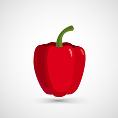 Figure ripe vector pepper on white background