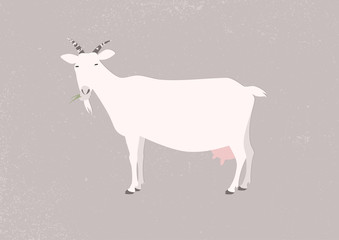 Vector illustration of a goat