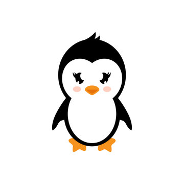 cartoon penguin girl