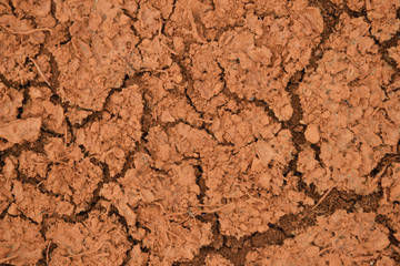 Red cracked ground background.