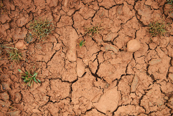 Red cracked ground background  with green grass