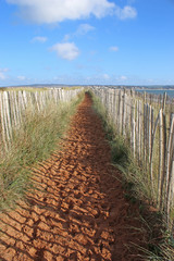 Path on Dawlish Warren, Devon