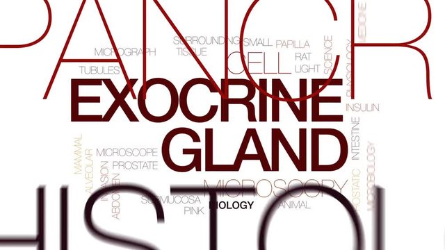 Exocrine gland animated word cloud, text design animation. Kinetic typography.