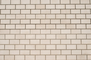 Obraz premium Ceglana ściana