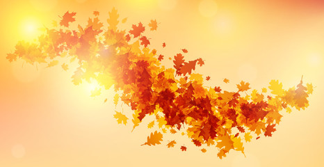 Naklejka na ściany i meble Autumn background with golden leaves.