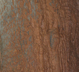 rock texture