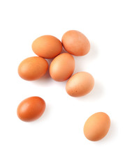 chicken eggs on a white background