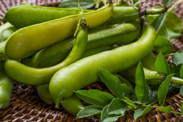 Healthy fresh legumes, new harvest on broad lima white beans