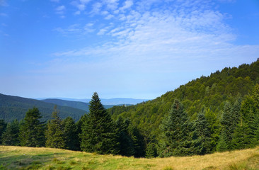 Fototapeta na wymiar Carpathians Mountains, Transylvania, Romania