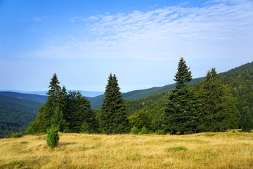 Carpathians Mountains, Transylvania, Romania
