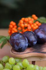 Green grapes, plums and mountain ash in a wooden basket