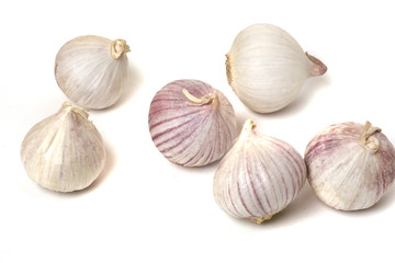 garlic on a white background