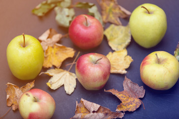Natural Eco apples and autumn leaves