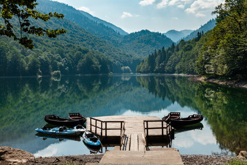 Biogradska Gora National Park, Montenegro
