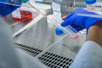 Researcher at laboratory work. Fluid extraction for cell splitting to create a cell pellet.