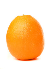 orange on white background