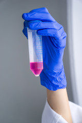 Female researcher is looking at a cell pellet in a tube. Laboratory work, cell splitting.