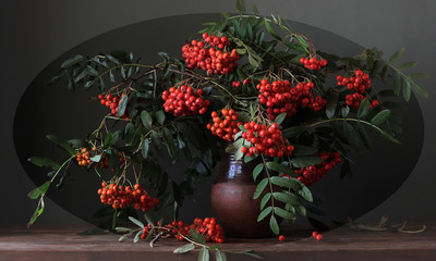 Bouquet of mountain ash in a clay jug. © Masquerade