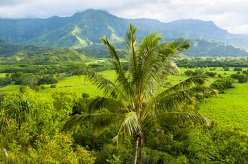 Fototapeta na wymiar panorama kawaii island hawaii united states