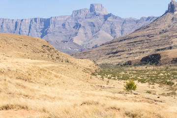 Fototapeta na wymiar Northern Drakensburg