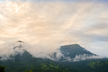 Mountain and mist / View of mountain and mist.