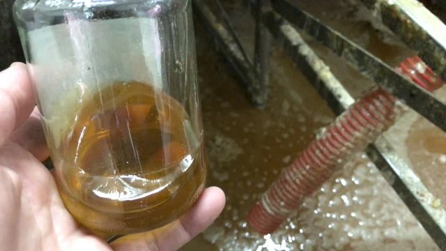 The process of producing honey in the factory