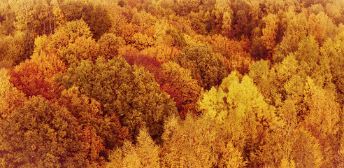 Autumn color background