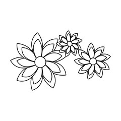 beautiful flowers decorative icon vector illustration design