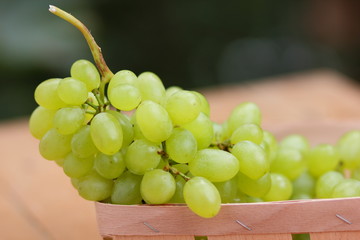 A bunch of green grapes in a wooden basket for a designer