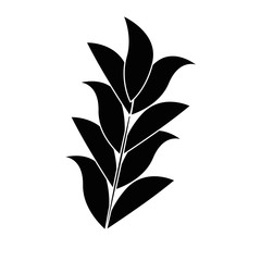 leaf plant decorative icon vector illustration design