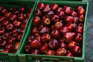 Fresh apples. Natural local products on the farm market. Harvesting. Seasonal products. Food.