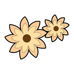 beautiful flowers decorative icon vector illustration design