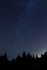 Fototapeta premium perseid meteor shower 