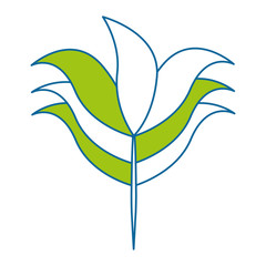 leaf plant decorative icon vector illustration design