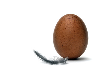 egg