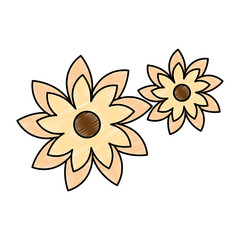 beautiful flowers decorative icon vector illustration design