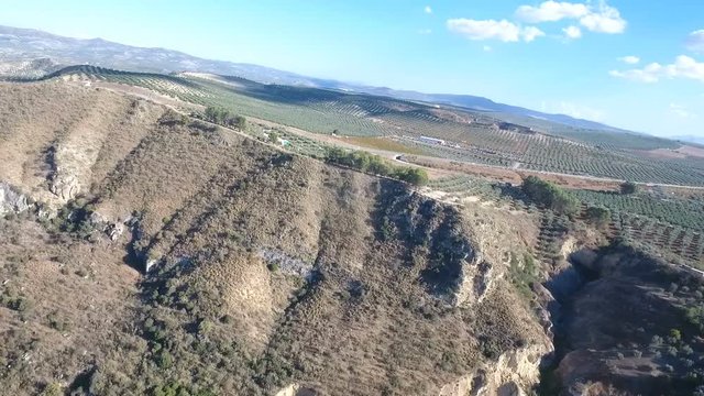 1080p Aerial, Flight over a highway bridge and down river village and olive orchards, Andalucia, Spain. Staright rows of olive trees and high rise bridge with going on cars. Way to Cordoba