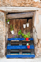 Decoration of window with herbs.Postcard concept