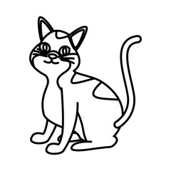 Cat pet cartoon icon vector illustration graphic design
