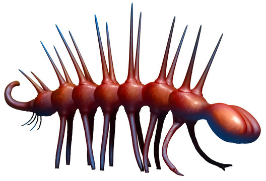 Hallucigenia early aquatic life 3D illustration