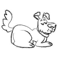 Dog pet cartoon icon vector illustration graphic design