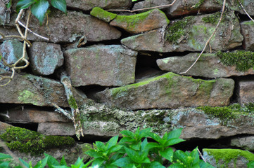 Old Stone Wall