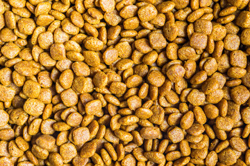 Close up macro photo of pet cat dog food