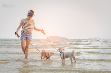 thai dogs enjoy playing on beach with owner